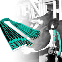 Ошейники для животных текстильные